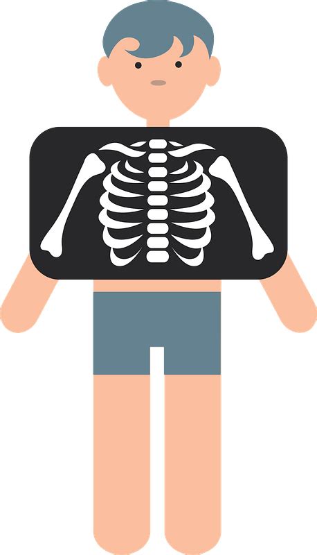 x ray clip art|free x ray clip art.